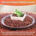 thumbnail image 2 of NOGIS 0.77lb Red Horticultural Lava Rocks for Plants, Succulents Cactus Bonsai Soil Volcanic Rocks for Aquarium Outdoor Decorative Stones for Craft Projects, Vase Fillers, 3mm-6mm, 2 of 6