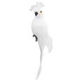 thumbnail image 1 of Visit the Apexora Store Feather Parrot Decoration Indoor Outdoor Clip High Quality, 1 of 7