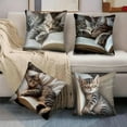 thumbnail image 1 of Funda de almohada de lino con diseño de gatos durmiendo y libros | Funda de cojín suave de pelo corto | 45 x 45 cm | Funda de almohada decorativa multicolor para sofá y sala de estar | Juego de 4, 1 of 5