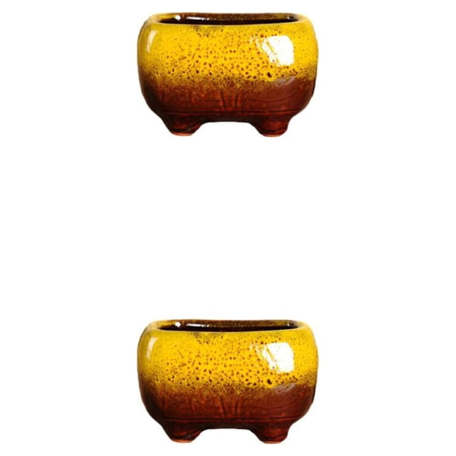 Maceta de cerámica Succulent amarillo Wosthever 2Conjunto