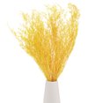 thumbnail image 1 of Ramo de flores secas Uxcell 17" Manojo de flores de limonium seco [Amarillo, 60g], 1 of 1