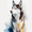 Husky, variant on Flower Hummingbird Canvas Wall Art Home Decor for Living Room Bedroom Dining Room Hallway Office Kitchen