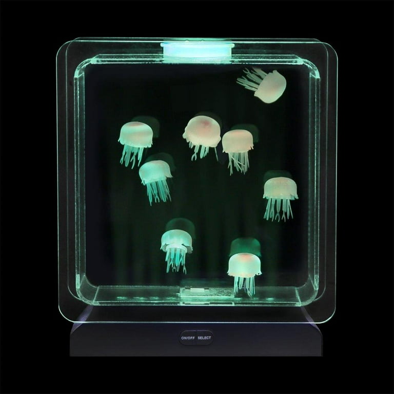 Jellyfish light cheap tank