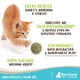 thumbnail image 2 of Raw Paws Bolas de hierba gatera de 6 unidades, juguete interactivo para gatos de interior, juguete de bola para gatos, juguetes para gatitos, juguete para gatos, bola para lamer gatos, juguetes para g, 2 of 6