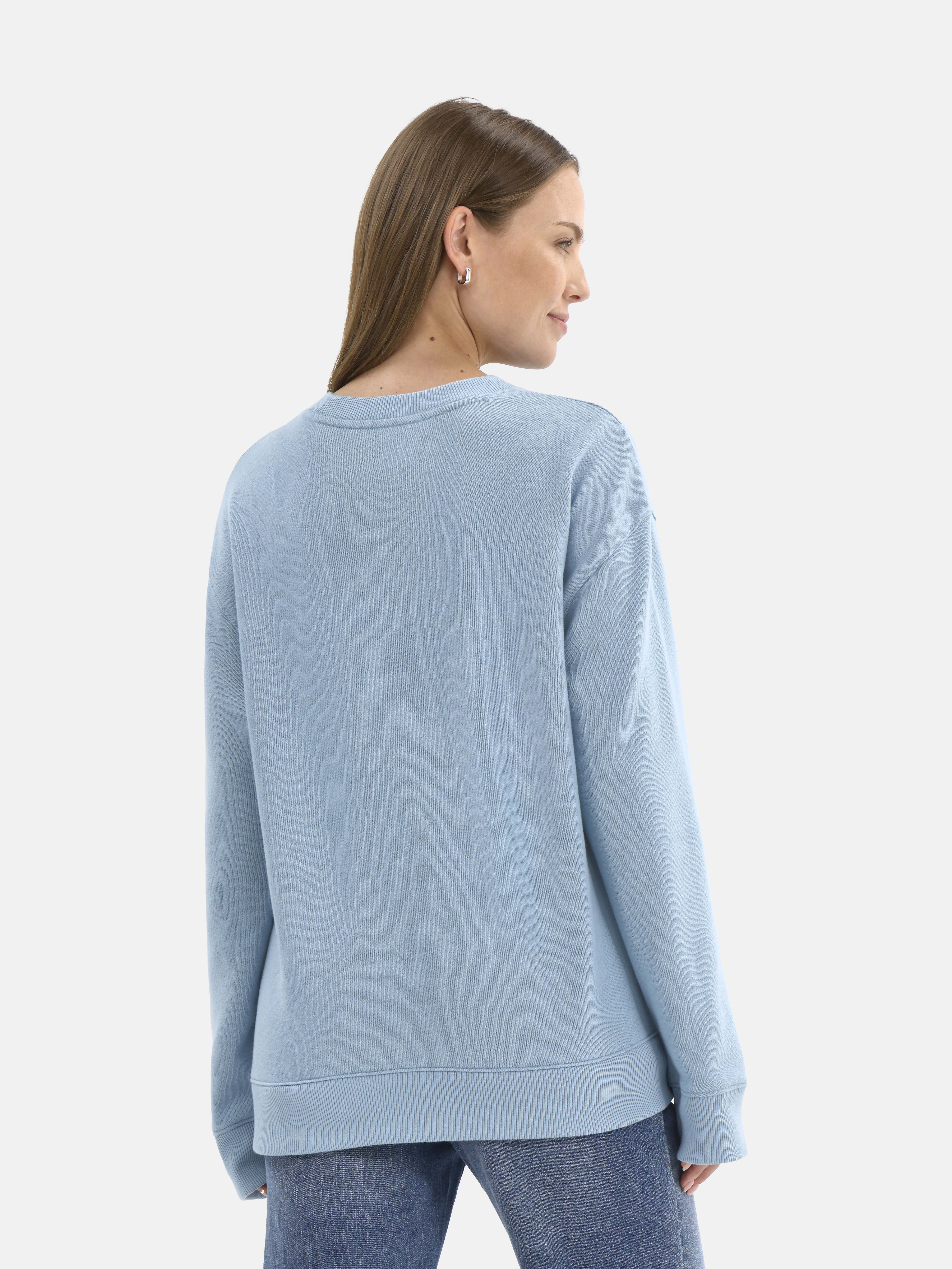 Time and Tru Women's and Women's Plus Crewneck Sweatshirt with Long Sleeves, Sizes XS-4X