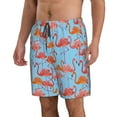 thumbnail image 2 of Naloa Flamingo Men's Beach Shorts, Surfing shorts, Swim trunks, Quick Dry Swim Trunks for Surfing Beach Fun - Small, 2 of 9