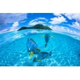 thumbnail image 2 of Gabriel, Barathieu 24x17 White Modern Wood Framed Museum Art Print Titled - Surgeon Fish Trio, 2 of 4