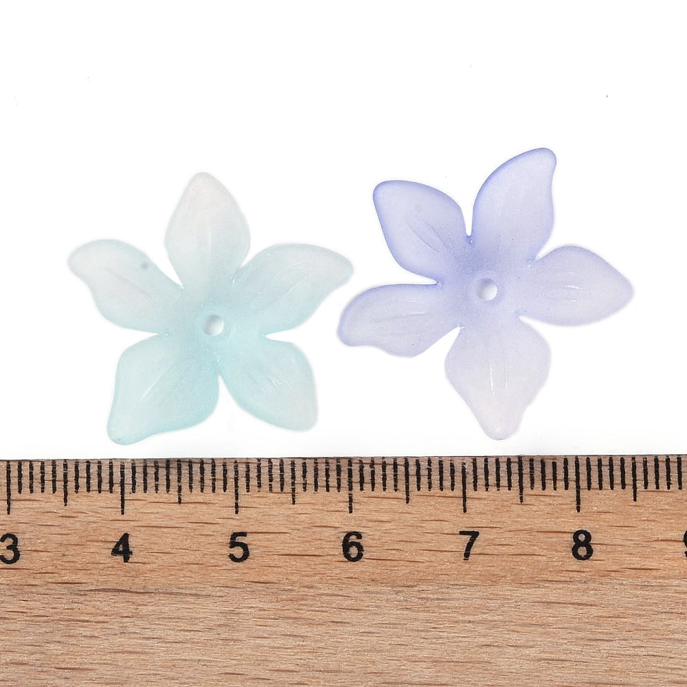 500gs Transparent Acrylic Beads Caps 5-Petal Flower Colorful 24x25.5x5.5mm Hole: 1.5mm 550pcs/500g