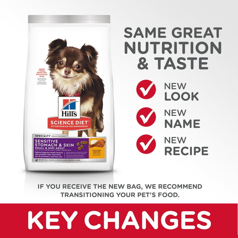 Best food for chihuahua with sensitive stomach sale
