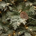 thumbnail image 2 of National Tree Company 4 ft. Frosted Mountain Spruce Entrance Tree with Clear Lights, 2 of 3