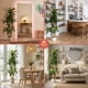 thumbnail image 5 of Planta artificial decorativa Artego Dracaena Palo de Brasil grande 170cm para hogar sala comercio oficina, 5 of 8