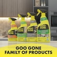 Goo Gone AllPurpose Cleaner 32 Ounce (2 Pack)