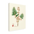 thumbnail image 2 of Unknown 'Spring Green Foliage VI' Canvas Art, 2 of 3