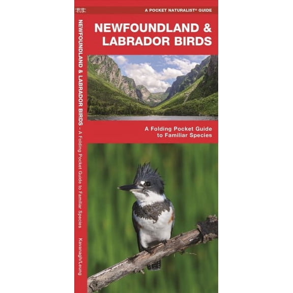 Wildlife and Nature Identification: Newfoundland & Labrador Birds : A Folding Pocket Guide to Familiar Species (Other)
