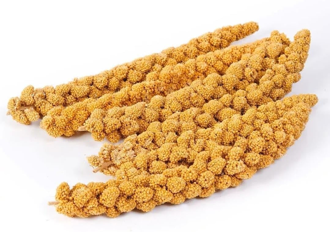 Vivlly 5LBS GMO-Free Sun Dried Spray Millet - Original Bird Treat Millet for Parakeets, Cockatiels, Finches & More - Non-GMO, High in Amino Acids, Easy Storage, Tasty & Healthy Bird Snacks (5 lbs)