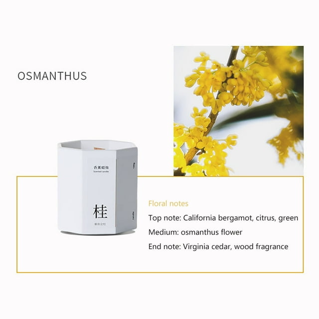 Aromatherapy Candles Mixed Wax Material Comfortable Atmosphere Multi-Purpose Long Lasting Natural Ingredients for Bedroom Birthday Home