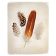 thumbnail image 2 of Van Swearingen, Debra 20x24 Gold Ornate Wood Framed with Double Matting Museum Art Print Titled - Feather Group I, 2 of 4