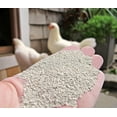 thumbnail image 2 of The Chicken Chick Sweet Coop, Zeolite Bedding Enhancer, 5lb Bag, 2 of 4