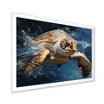 Designart "Oceanic Tranquility with Tidal Turtle I" Animals Framed Wall