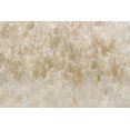 thumbnail image 2 of Tapis Soho Crème Tan Polypropylène Shag 5'7"x7'8", 2 of 2