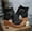 Black, variant on Fall Boots for Women 2026 Flat Toe Flat Heel Walking Shoes Slip-on Brown Ladies Boots