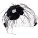 thumbnail image 1 of Tocado con velo para mujer, tocados con plumas, pinza para el cabello, velo, tocados para mujer, accesorios para el cabello, tocados para fiestas, bodas y novias, 1 of 9