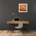 thumbnail image 3 of Leahy, Ike 20x20 White Modern Wood Framed Museum Art Print Titled - Orange Lilies II, 3 of 4
