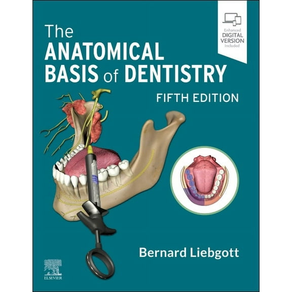 The Anatomical Basis of Dentistry, (Paperback)