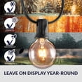 thumbnail image 3 of Newhouse Lighting 25 ft. Weatherproof Party String Lights, Black, 3 of 7