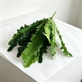 thumbnail image 2 of 2Pcs Artificial Zebra , 19.6" Zebra Leaf Spray, Aphelandra Squarrosa with Green & Yellow Stripes, Maintenance Free Greenery for Home Office Table Centerpiece, 2 of 6