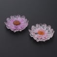 thumbnail image 3 of 2 Botones de Flores Secas de Cristal para Manualidades de Costura de Ropa de álbum de Recortes de Bricolaje Baoblaze Flores de cristal para manualidades, 3 of 8