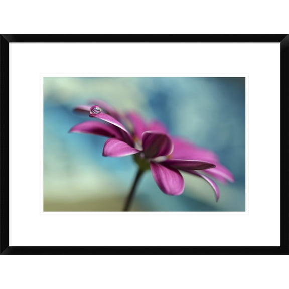 Global Gallery Heidi Westum 'Pattern Drop' Framed Wall Art