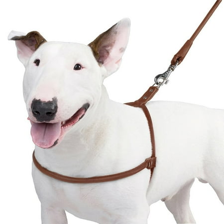 - Rolled Leather Dog Harness for Large Dogs Handmade, Black
