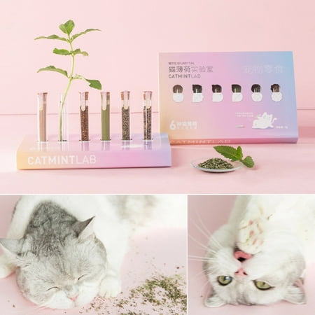 Youpin Furrytail Catmint Lab Cat Organic Premium Catnip Catmint Litter Deodorizing Beads Removaling Excrement Odor Freshing Cat Litter Box Air Housebreaking Mint Scent Pet Products Walmart Canada Youpin Furrytail Catmint Lab Cat Organic Premium Catnip Catmint Litter Deodorizing Beads Removaling Excrement Odor Freshing Cat Litter Box Air Housebreaking Mint Scent Pet Products Walmart Canada