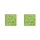 thumbnail image 1 of Bewildely Posavasos para taza, alfombrilla de mesa, lavable, para el hogar, protector de mantel, verde Verde 2piezas Bewildely CBP302888, 1 of 5