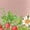 LIGHT PINK, variant on Strawberry Shortcake - Strawberry Patch - Youth Girls Boxy T-Shirt