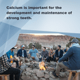 thumbnail image 3 of LifeLink's Calcium Orotate | 745 mg x 100 tablets | Bone Health  | Gluten Free & Non-GMO | Made in the USA, 3 of 7