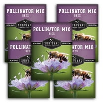 Bee Pollinator Mix Seeds - 5 pack - Non-GMO Heirloom Full Sun Annual Flower
