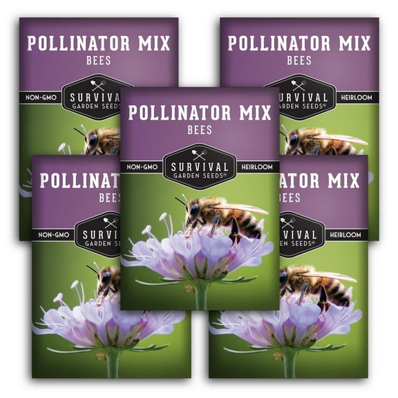 Bee Pollinator Mix Seeds - 5 pack - Non-GMO Heirloom Full Sun Annual Flower