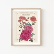 Chrysanthemum Wall Art Print, November Birth Flower Illustration Print,Painting Art, Dining Room Wall Decor Ideas, Art Deco Frameless 20x30inch