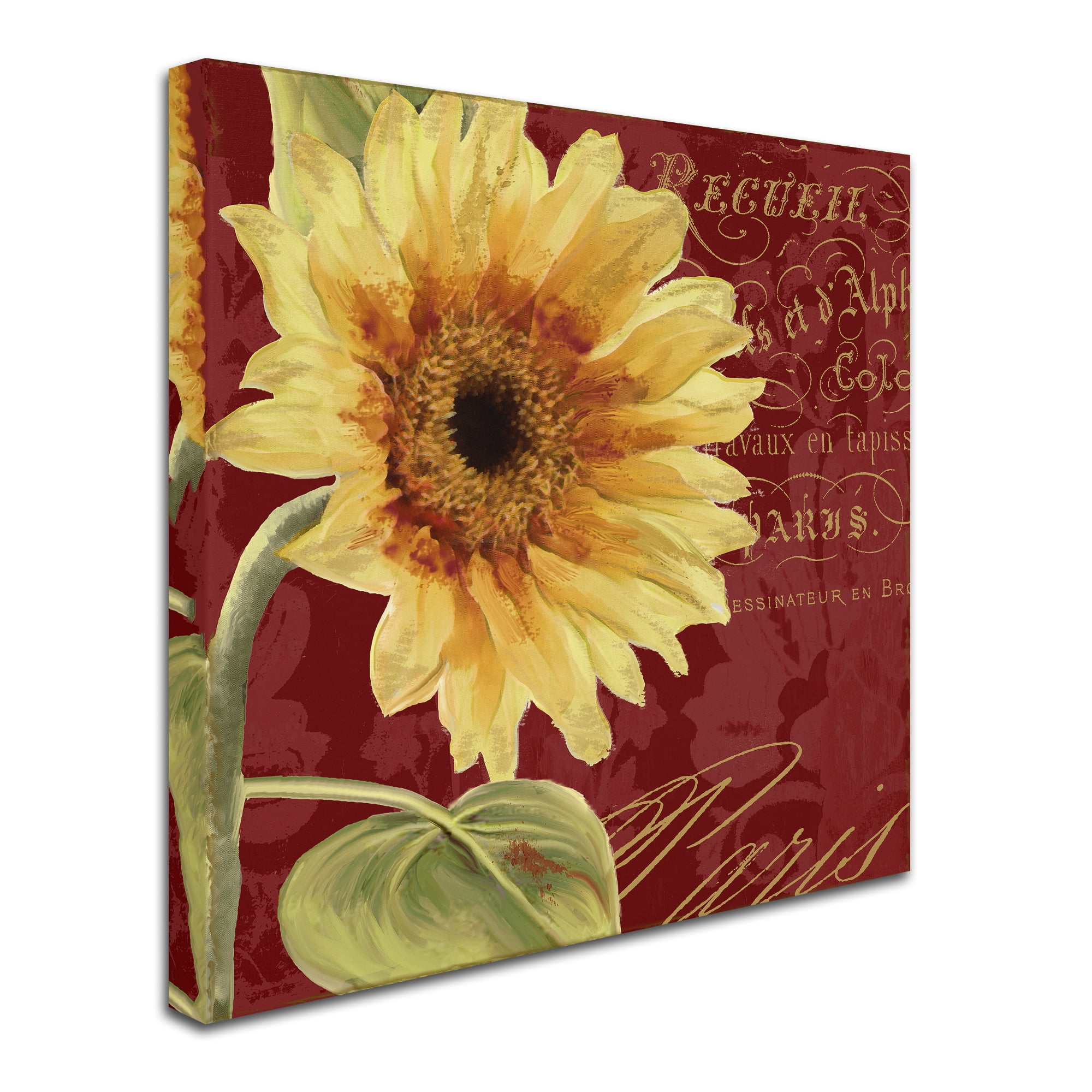 Trademark Fine Art 'Ete IV' Canvas Art by Color Bakery