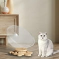 thumbnail image 1 of BELOVING Clear Capsule Cat Bed Activity Centre Sleeping Nest for Climbing Kitten Cats L, 1 of 9