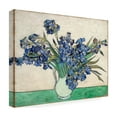 thumbnail image 4 of Van Gogh 'Irises In A Vase' Canvas Art, 4 of 4