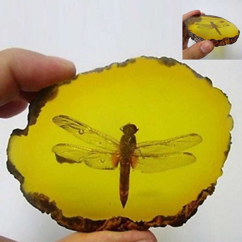 Beautiful amber scorpion fossil insect hand polishing artwork 