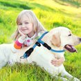 thumbnail image 3 of Pet P-collar Lightweight Comfortable Anti-slip Training Collar Pet Neck Accessories For Small Medium Large Dogs, 3 of 9