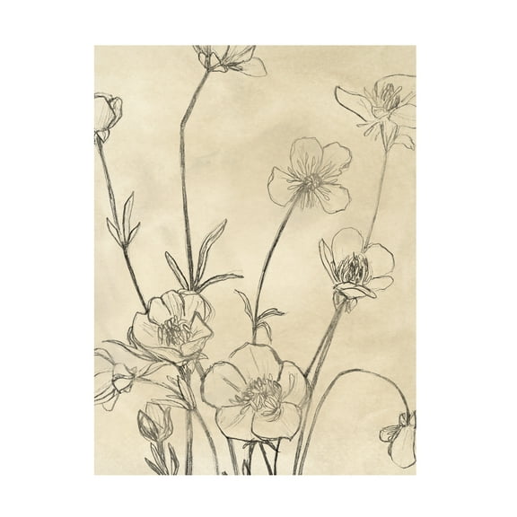June Erica Vess 'Vintage Wildflowers I' Canvas Art