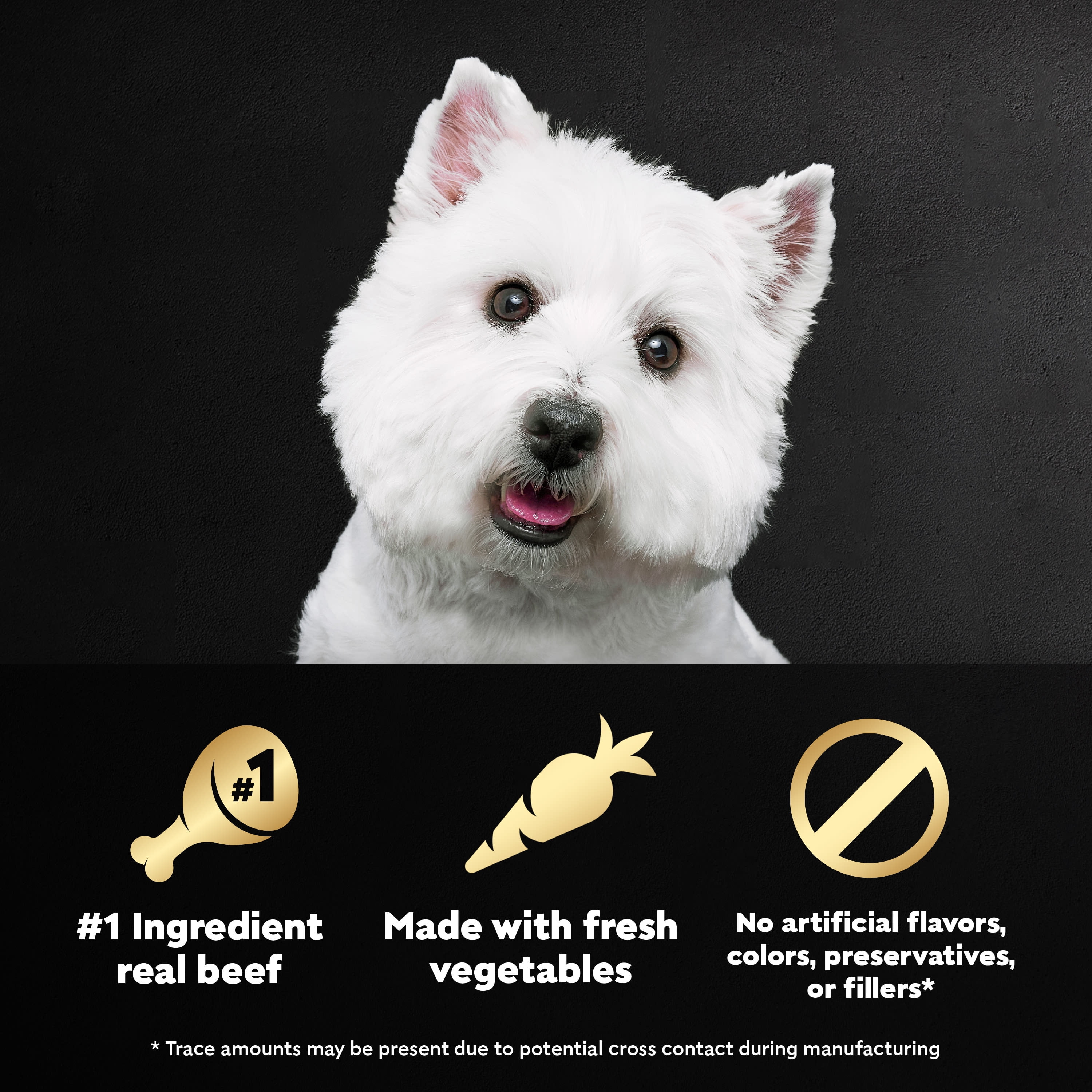 Westie top dog food