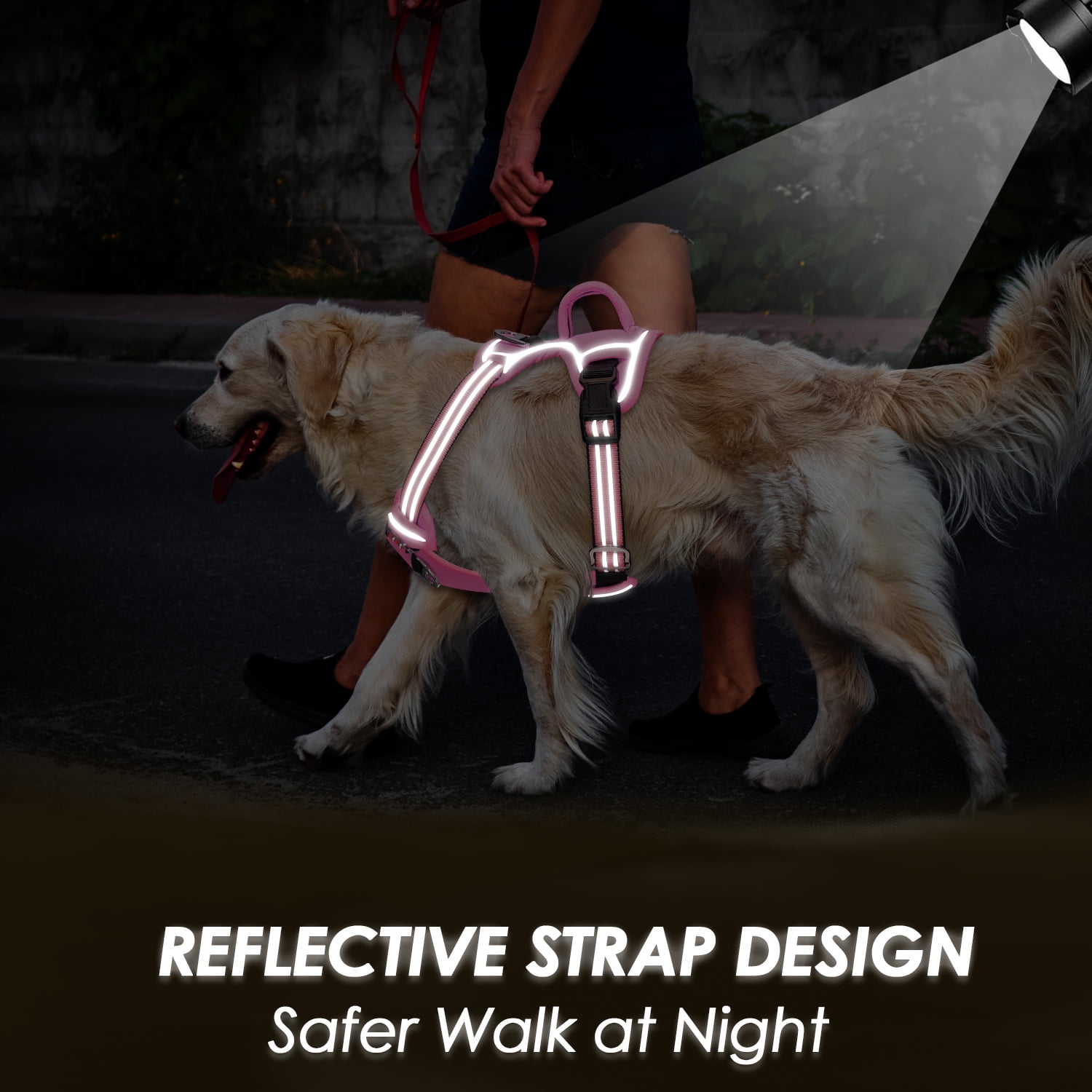 AUTOWT No Pull Dog Harness - Heavy Duty, No Choke Design with 2 Leash Clips & Adjustable Padded Vest