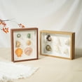 thumbnail image 2 of Shell conch three-dimensional storage box Display Specimen Shadow Case, 2 of 10