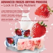 Freeze Dried Yogurt Dog Cats Treats with Strawberry Blueberry Cranberry Mixed Flavours 100g, High Protein Yogurt Snacks for Cats Dogs Training